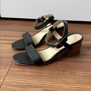 Nisolo Black Leather Block Heel Sandals
